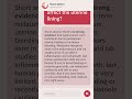 Does melatonin affect the uterine lining?