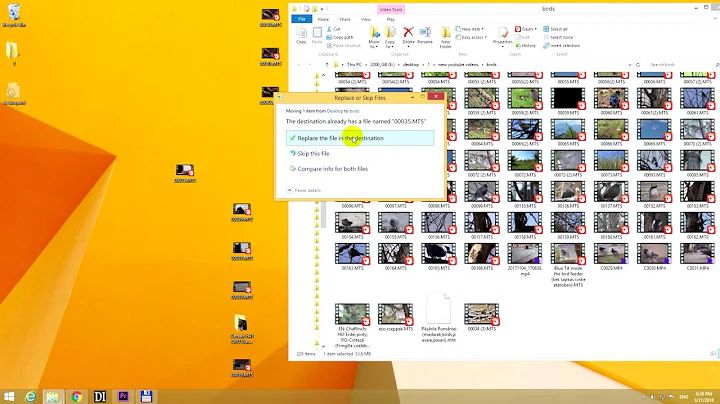 Replace or Skip files - File copy/move operation under Windows (Basic Tutorial)