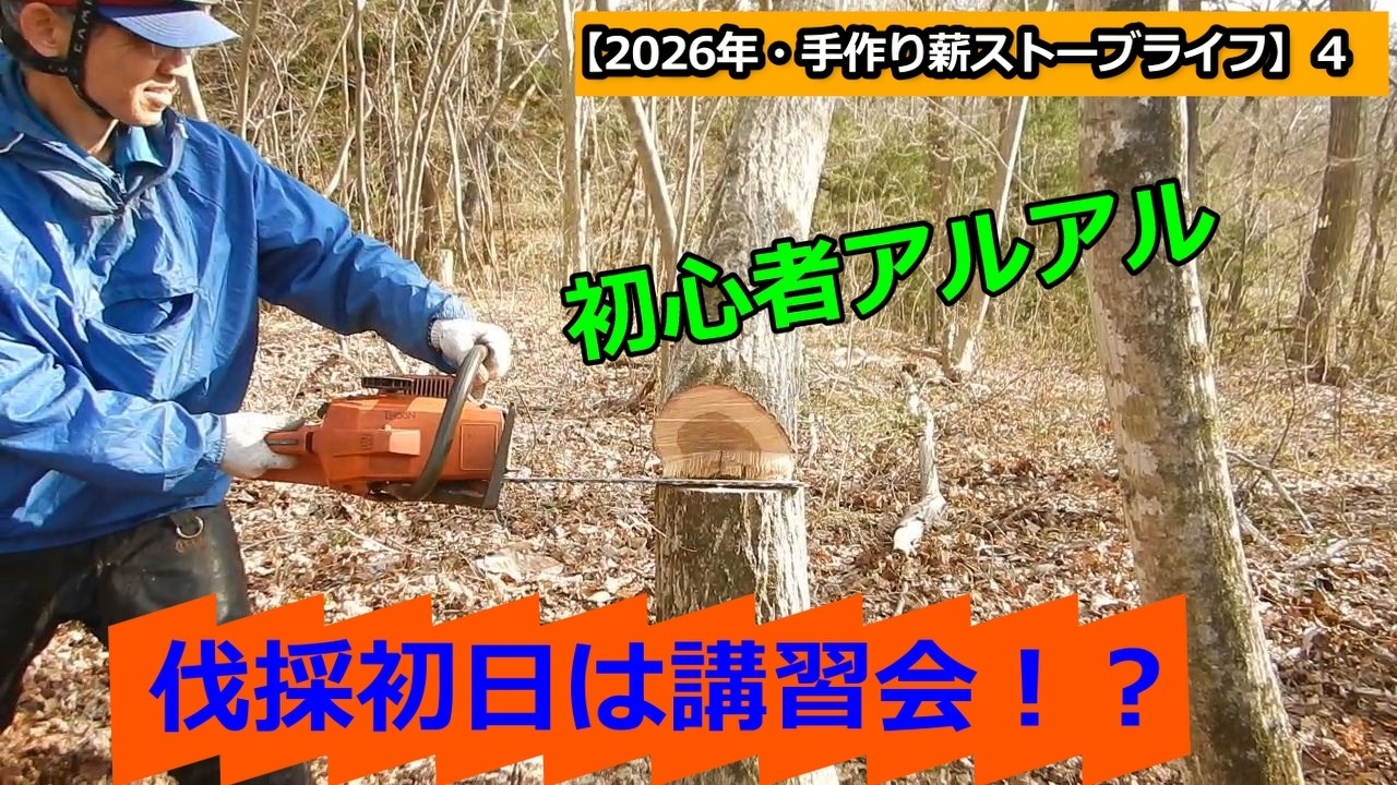 雑木　伐採　原木　薪　薪ストーブ 2026手作り薪ストーブライフ】4：伐採初日は講習会！？ - YouTube