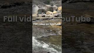 Peaceful River Sounds 💧 Sleep Fast #asmr #river #riversounds #sleepbetter #relaxing