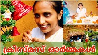 Christmas celebration/village life/crib making/traditional Christmas celebration/@LeafyKerala