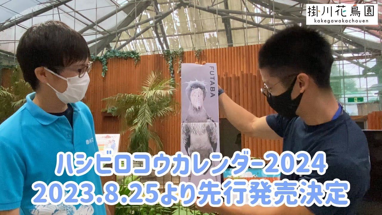 掛川花鳥園公式】ハシビロコウカレンダー2024発売決定！ - YouTube