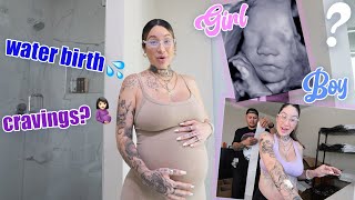 pregnancy update w/ 3D sonograms🙈 + launching FACTORY C packing orders!!!🤍📦