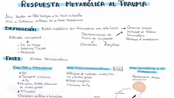 ¿Cómo es una respuesta al trauma?