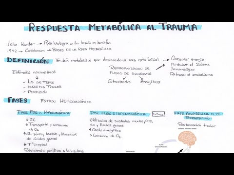 Video: Patrón De Impotencia Como Reacción Al Trauma