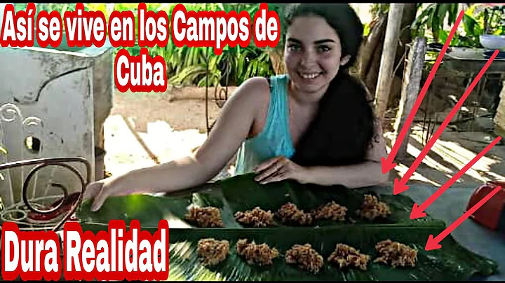 As se Vive en los Campos de Cuba Blog Viviendo en ...