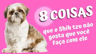 8 COISAS QUE O SHIH TZU NÃO GOSTA QUE VOCÊ FAÇA | Você vai se surpreender 8 COISAS QUE O SHIH TZU NÃO GOSTA QUE VOCÊ FAÇA | Você vai se surpreender