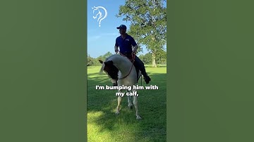 How To Get A Fluid Sidepass! Part 8! | The Horse Guru-Michael Gascon