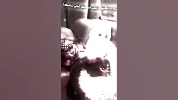 علموني على المشروب اسكر وامشي بالمقلوب 
