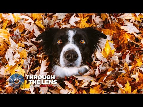 Through The Lens | S05E08 - @Andrewknapp