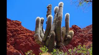 Quebrada de Humahuaca, Jujuy, Argentina.
