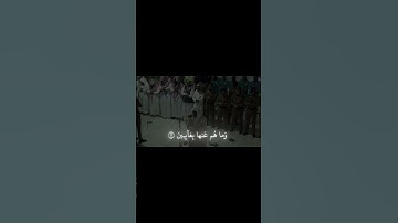 سوره الأنفطار تاريخ التلاوه 1425ه‍ للشيخ ياسر الدوسري 🎧🫀 #fyp #foryou #funny