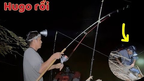 Nó Kéo Mạnh Lắm Cá To Rồi / Câu Cá Cắm Trại Trong Rừng 