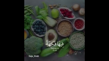 "وَالْأَرْضَ وَضَعَهَا لِلْأَنَامِ" / سورة الرحمن