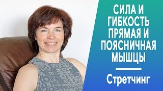 #275 Стретчинг прямой и поясничной мышцы. Гибкость и сила