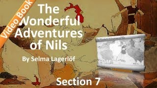 07 - The Wonderful Adventures of Nils by Selma Lagerlöf - The Stairway with the Three Steps