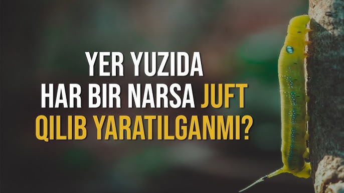 qizning ochiq vaginasi