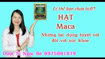 Hạt Maca có tác dụng gì??? |Dược Sĩ Ngọc Bé|