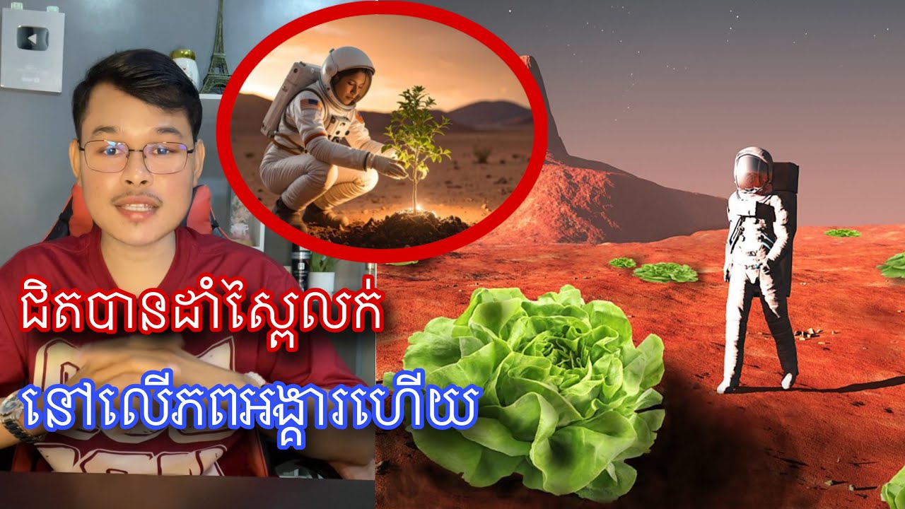 បើគម្រោងការលោក Elon musk ជោគជ័យ មនុស្សយើងបានទៅដាំស្ពៃលើភពអង្គារ l Mr.Veasna