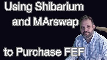 Mastering Shibarium: From ETH Purchase to BONE Conversion on Marswap for FEF Token Investment