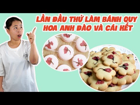 Video Lần Đầu Thử Làm Bánh Quy Hoa Anh Đào Và Cái Kết | HÀ... - youtube