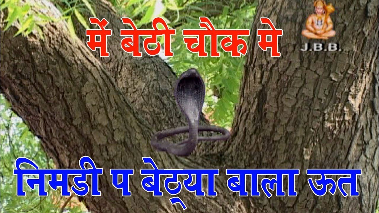 में तो बैठी चौक में लीमड़िया पे बेठ्या बाला ऊत 