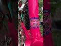 The 1987 Panasonic Mountain Cat 6500 (MC-6500) Vintage MTB Made in Japan