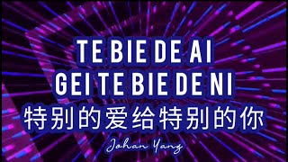 Te Bie De Ai Gei Te Bie De Ni 特别的爱给特别的你 REMIX No Vocal