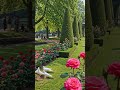 bhanvare Ne khilaya phool phool#bollywood