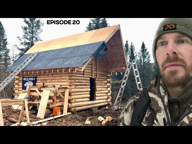 Winter Log Cabin Build on Off-Grid Homestead |EP20|