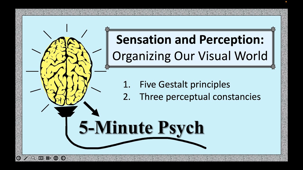 Organizing Our Visual World - YouTube
