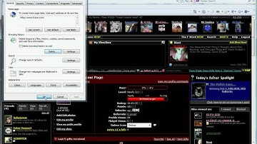 How to un-junkify your browser! A.k.A Clearing Cache, Cookies and History