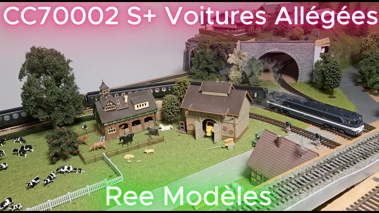 CC70002 S  voitures Allégées Ree  Modeles #modelisme #trainsminiatures #modelismeferroviaire #train