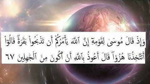 شرح أحكام سورة البقرة من 64 الي 69