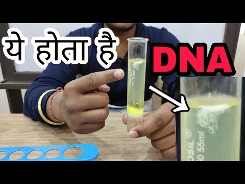 वीडियो: सीवीएस में एक घरेलू डीएनए परीक्षण कितना है?