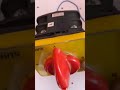 Video Image