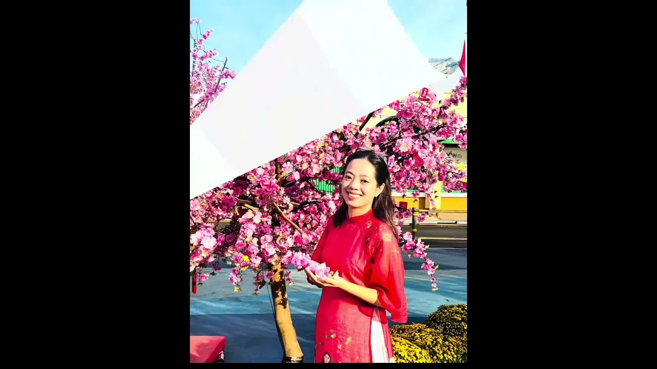 🌼🌼🌼Chào Xuân Bính Ngọ 2026🌸🌸🌸