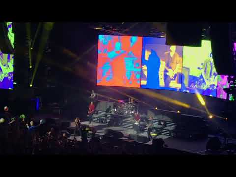 Wannsee (Live) - Die Toten Hosen