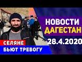 Новости Дагестана за 28.04.2020 год