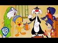 Looney Tuesdays | Our Oscar Winners! | Looney Tunes | WB Kids