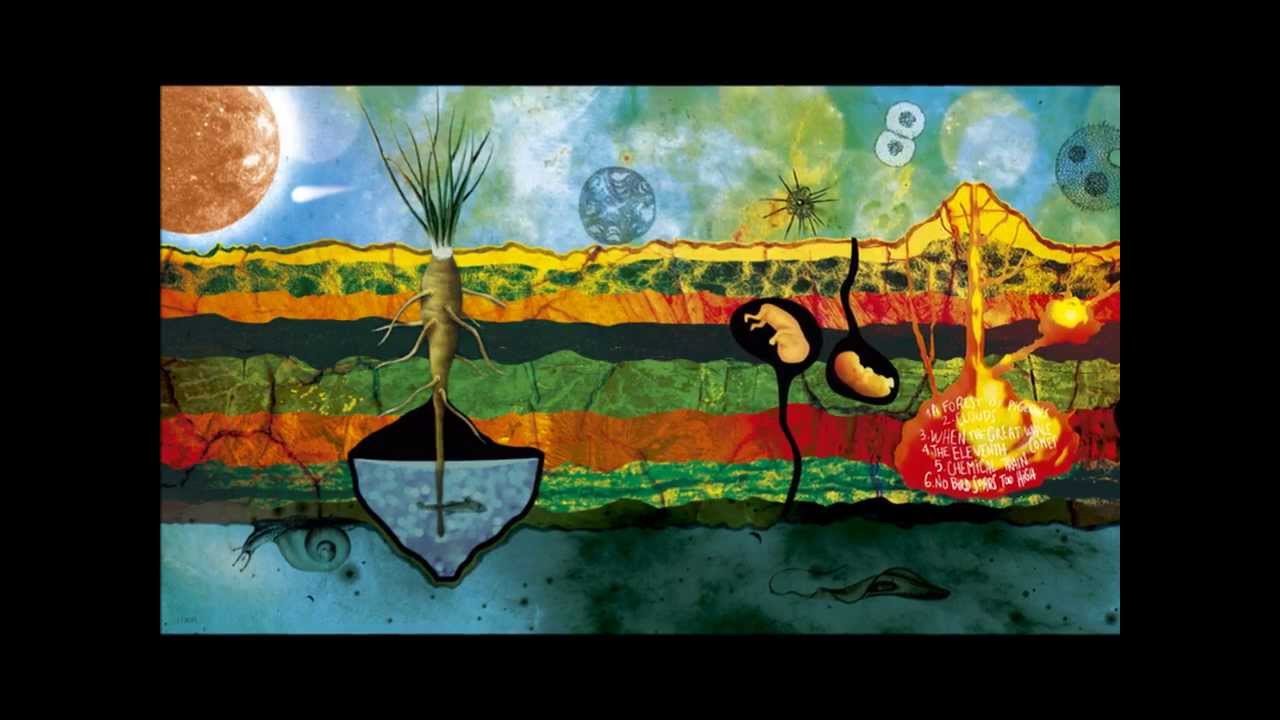 Ethiva "No bird soars too high"