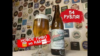 Пробую новое белорусское пиво из К&Б. Обзор пива 