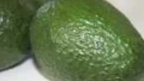 The No.1 Food on the Planet