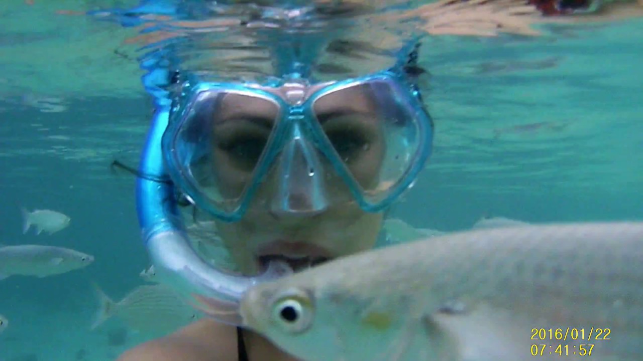 Cómo hacer snorkel de "andar por casa" Awinklla YouTube