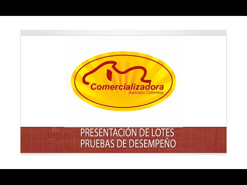 Presentacion de lotes Pruebas de Desempeño comercializadora Asocebú - TvAgro por Juan Gonzalo Angel