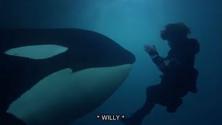 Free Willy 3: The Rescue (1997) Max Falls Into The Ocean And Meets Willy