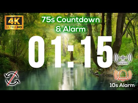 01:15s 🔔 75 Second COUNTDOWN with Tick Tock Sound Every Second and Alarm for 10s - No Loop