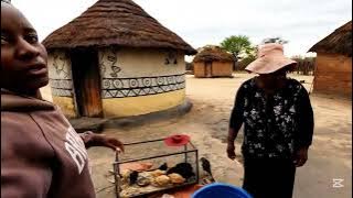 EVERYTHING NOT WELL, TREES, CHICKENS  FOWEL RUN. ZIMBABWE VILLAGE LIFE 