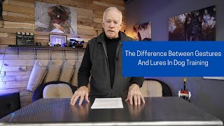 The Difference Between Gestures And Lures In Dog Training