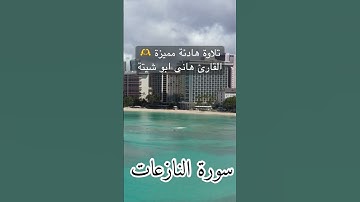 تلاوة هادئة مميزة القارئ هانى ابو شيتة سورة النازعات